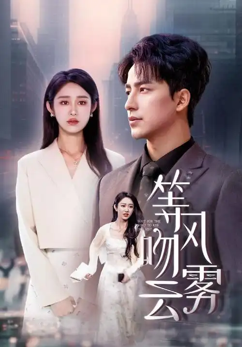 爱情大片大全免费观看之雾港谜情剧照